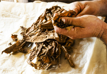 Cuban cigar wrapping