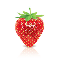 Strawberry isolated on white vector