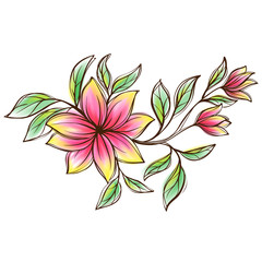 Floral vector ornament
