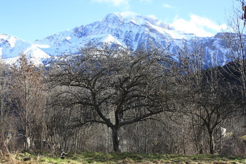 cordillera de montañas con arboles, cielo azul en pirineos