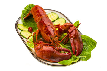 Large Lobster