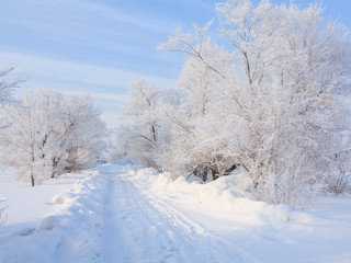 winter landscape with road
