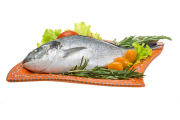 Raw dorado