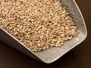 Backen - Zutaten - geschälte Sonnenblumenkerne