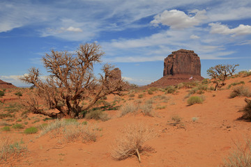 monument Valley, Arizona