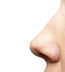 nose on a white background. macro
