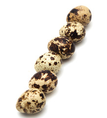 Obraz premium quail eggs on a white background. macro