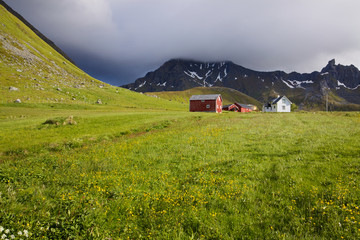Farm on Lofoten