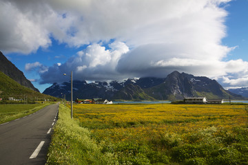 Road to Lofoten
