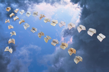 flying books in evening sky