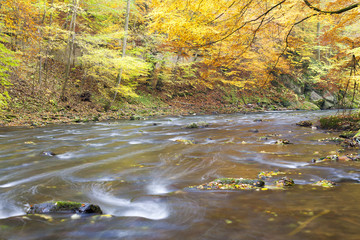 Metuje river in autumn, Czech Republic