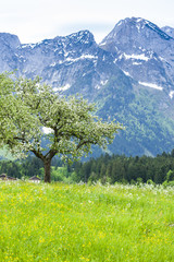 Fototapeta na wymiar Austrian Alps near Hallstatt, Upper Austria, Austria