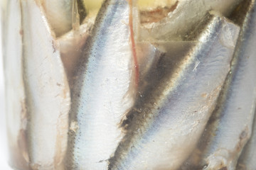 sprats in oil