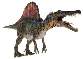 Fototapeta premium Dinozaur Spinozaur