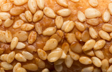 sesame seeds on a bun. macro
