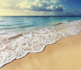 Sea