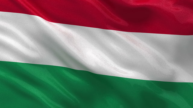 Flag of Hungary waving in the wind - seamless loop