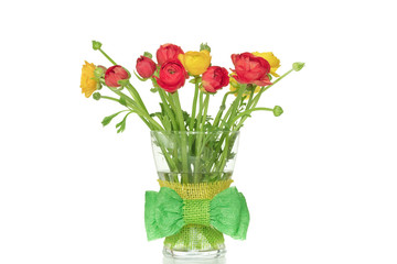 Red and yellow buttercups (ranunculus)