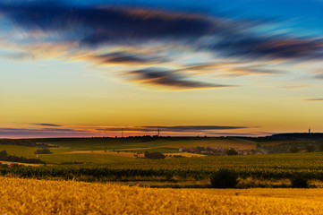 Summer fields