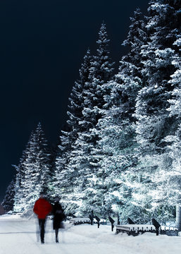Winter alley in the night. Sibera, Russia.