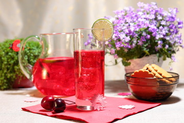 Cranberry mors drink © bozhdb