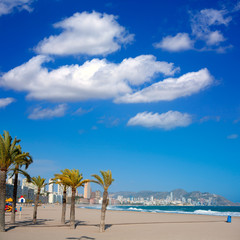 Naklejka premium Benidorm Alicante beach palm trees and Mediterranean