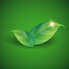Vector green leaves ecology background