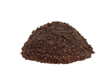 fertile soil