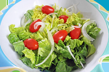 Fresh garden salad of romaine, onions and cherry tomatoes