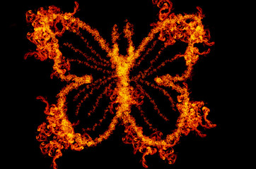 abstract fire butterfly