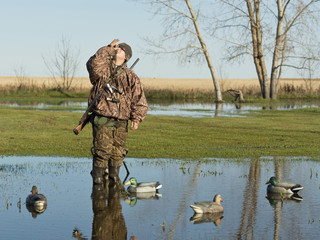 Naklejka premium Waiting Duck Hunter