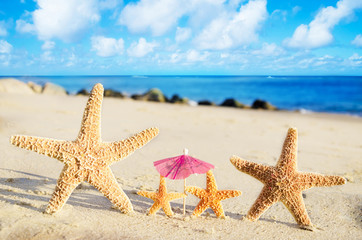 Fototapeta na wymiar Starfishes on the sandy beach