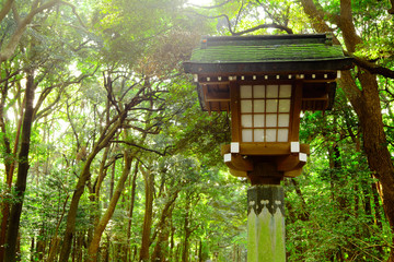 Japanese lantern in park