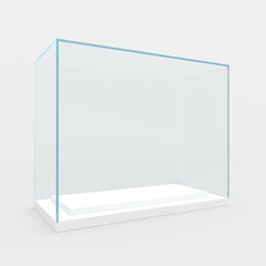 Empty glass showcase