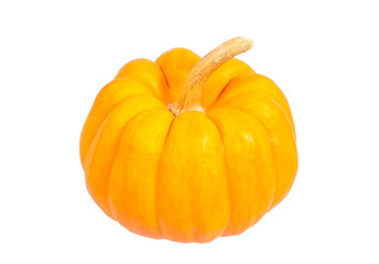 mini pumpkin