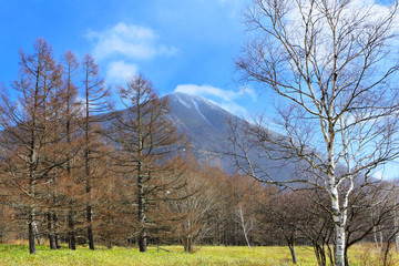 Countryside with mountain and tree