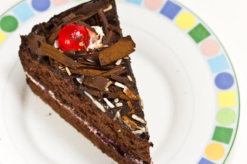 Slice of delicious  chocolate cake