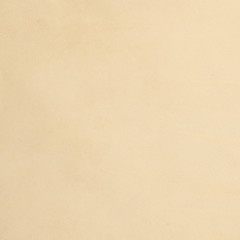 Beige leather