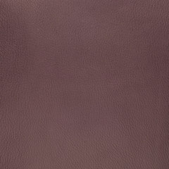 Purple suede