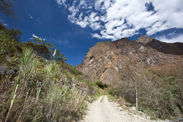 mountain trail
