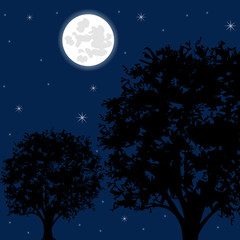 Moon night and tree