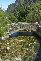 Fototapeta na wymiar stone bridge over a stream