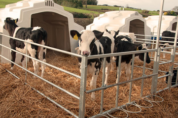 Winter accommodation