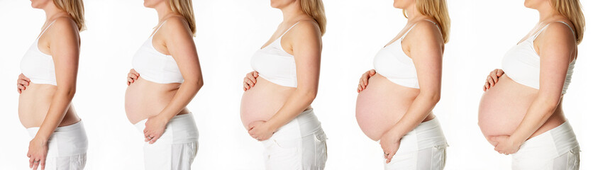 Studio Sequence Showing Progression Of Human Pregnancy