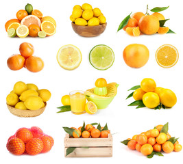 Citrus collage isolated on white