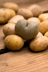 Fototapeta na wymiar Herzförmige Kartoffel