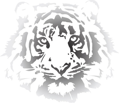 tiger head in gradient interpretation