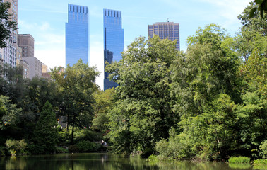 Fototapeta premium Park