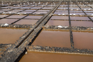 Fresh sea salt  Salinas del Carmen  Fuerteventura