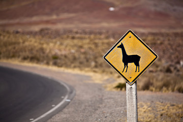 alpaca road sign